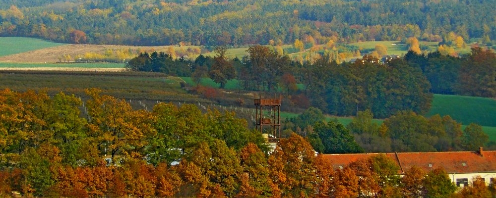 P1250218_uzky.jpg